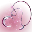 accessory Image